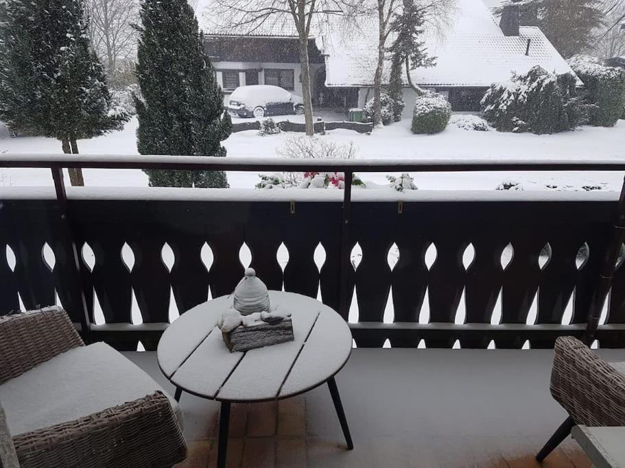 Mit Kamin-sonnendurchflutet-balkon Apartment *